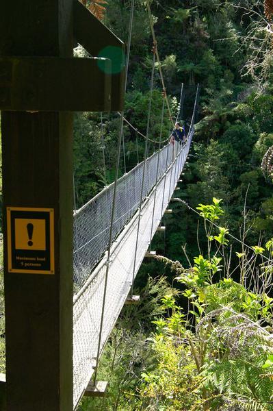 Bridge on Abel Tasman coastal path