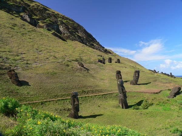 Many unfinished Moai 