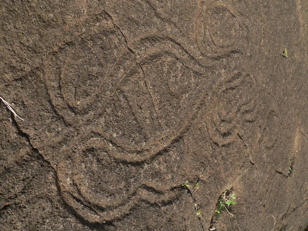 Stone Carvings at Orongo
