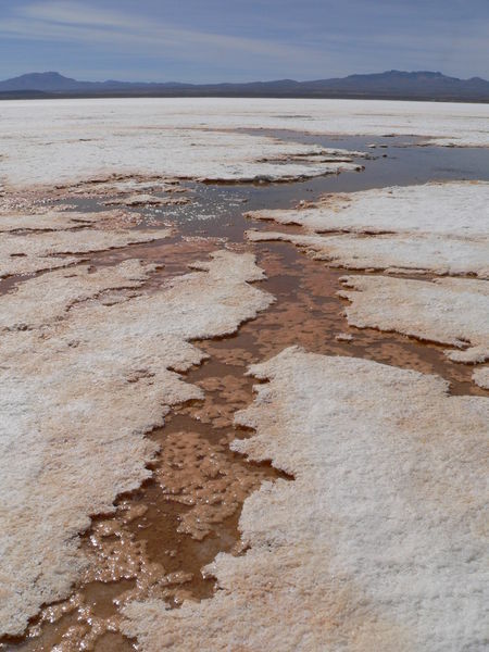 Cracks in the salt plain