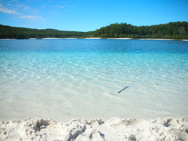 Lake Mackenzie - Fraser Island