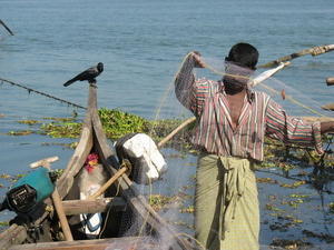 Fisherman in Kochi