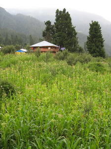 Typical View of Parvati