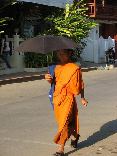 Buddhist Monk II