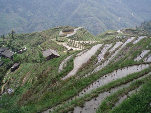 Longsheng's outstanding rice terraces