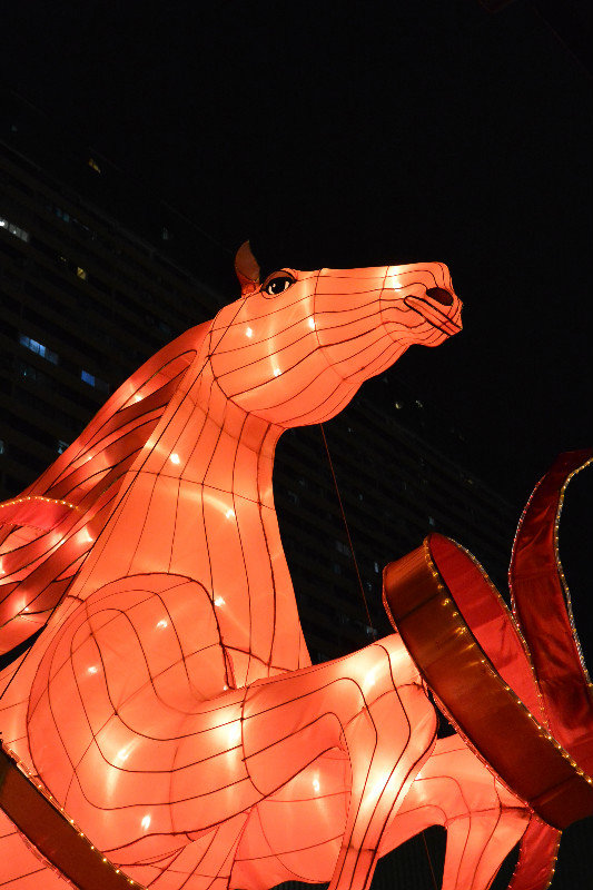 CNY - The Year of the Horse