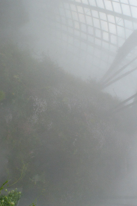 Gardens by the Bay - Fogging Time