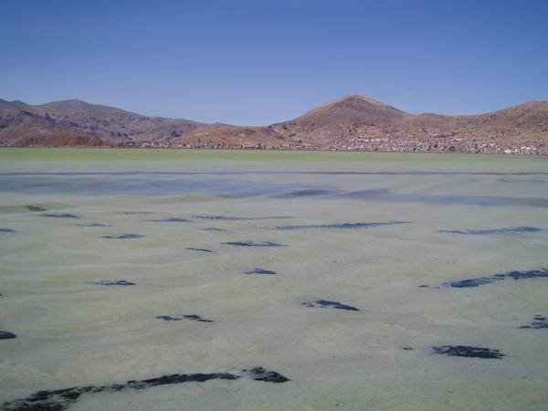 Puno, the bay