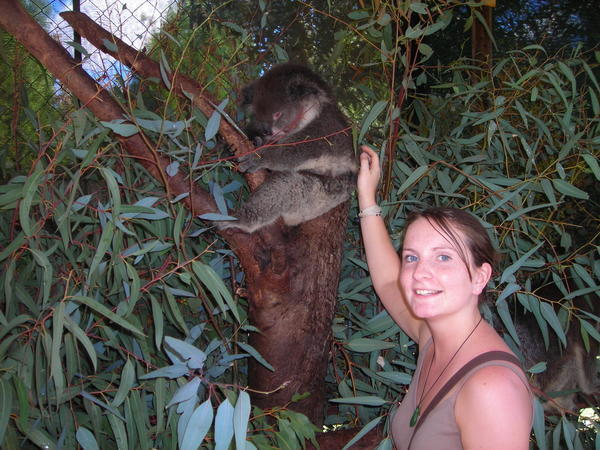 Me and the Koala