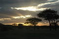 Sunset, Serengeti NP