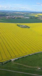 Aerial View of Canola Fields