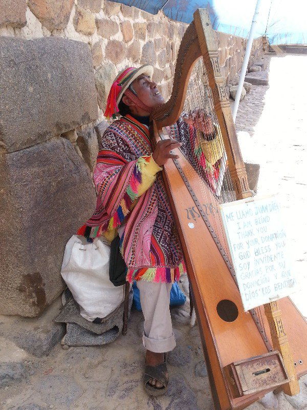 Andean Harpist