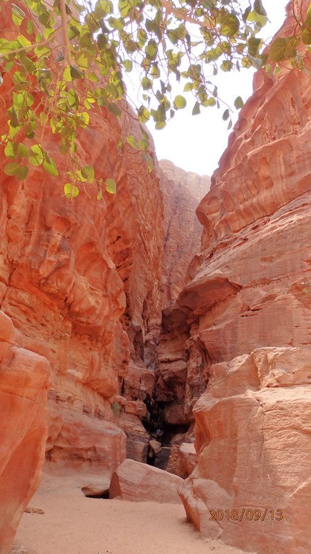 Canyon in Wadi Rum