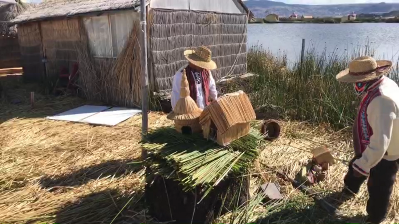 Reeds used to make floating islands