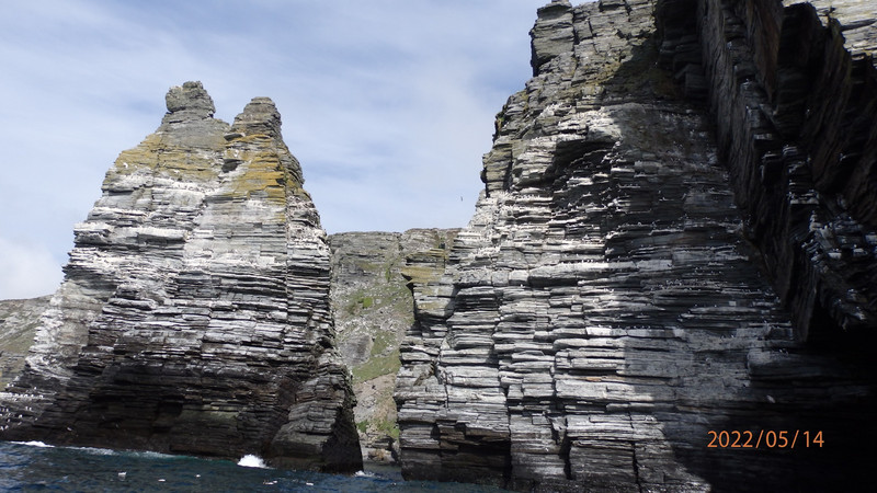 Gulls nesting on cliff