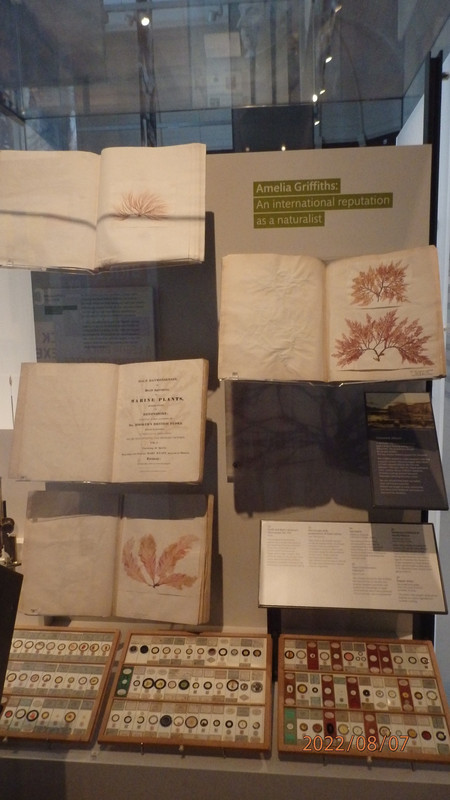 Botanical specimens