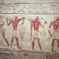 Wall engravings in a tomb in Saqqara