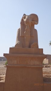 Sphinx with a ram head