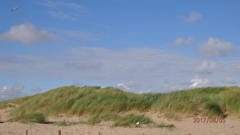 Sand dunes at Ainsdale