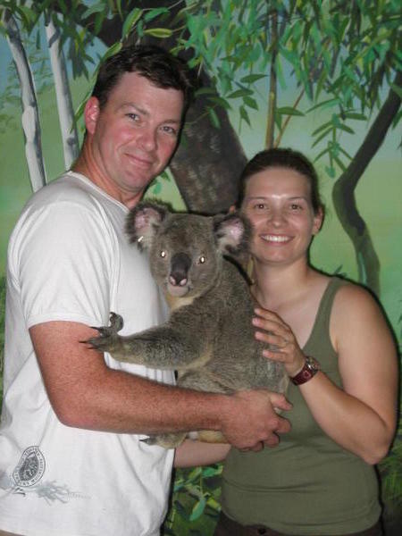 Us and our Koala