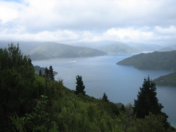 Looking South to Picton
