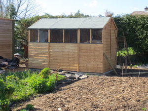 The shed that we built