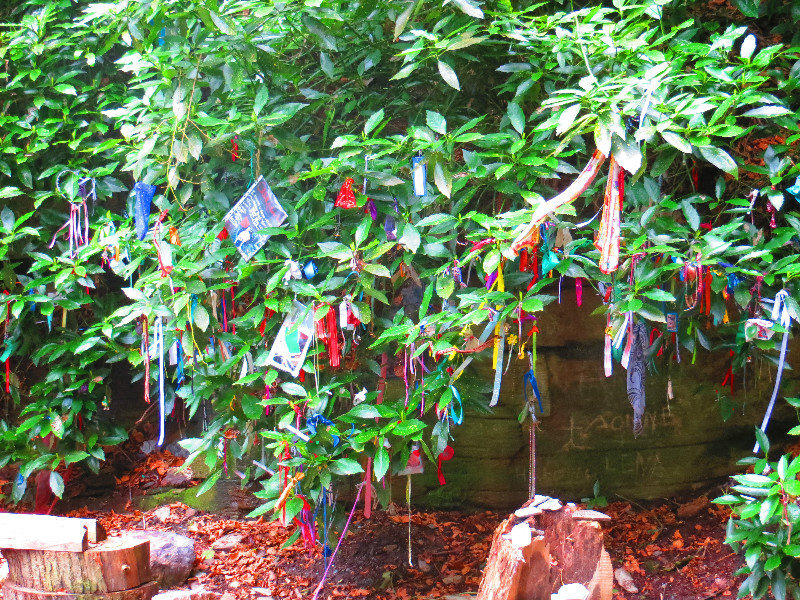 A tree adorned with wish ribbons and gifts to the glen