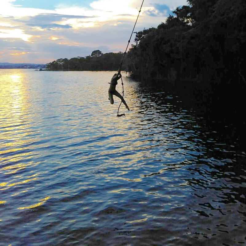 Sunset rope swing 