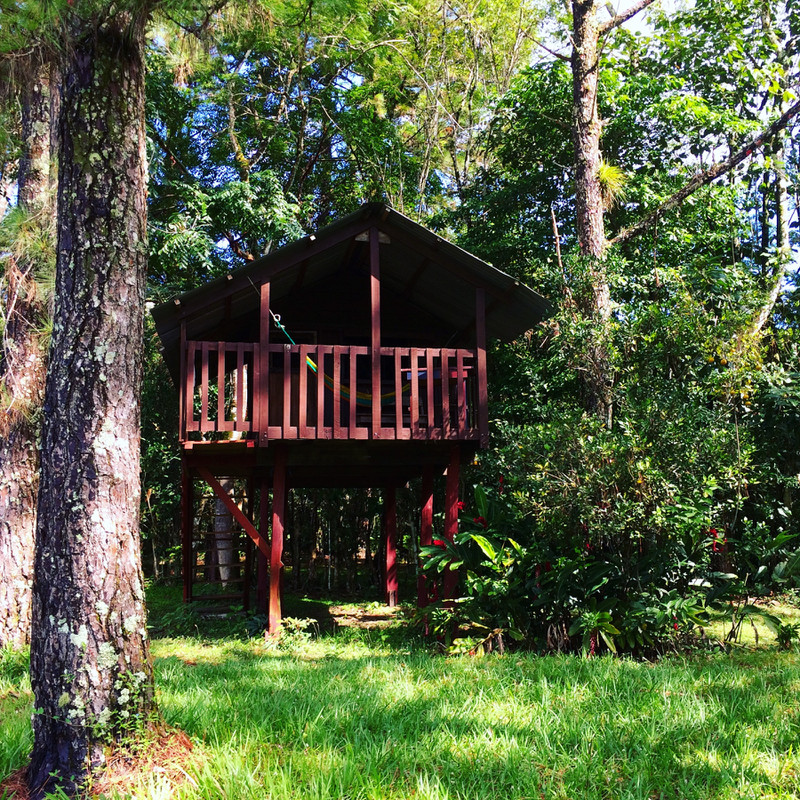 Our treehouse home 
