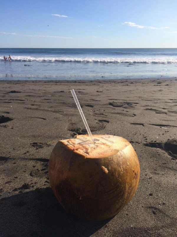 A coconut a day keeps dehydration away 