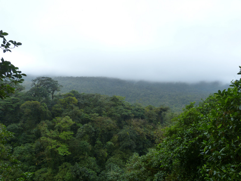 Rio Celeste viewpoint of the cloud forest