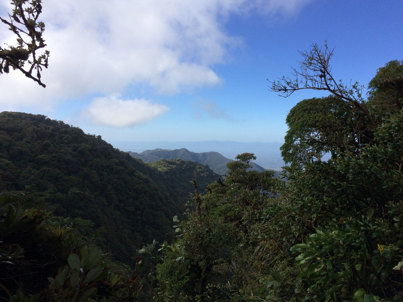 View over the cloud forest 