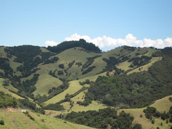 Lush hills