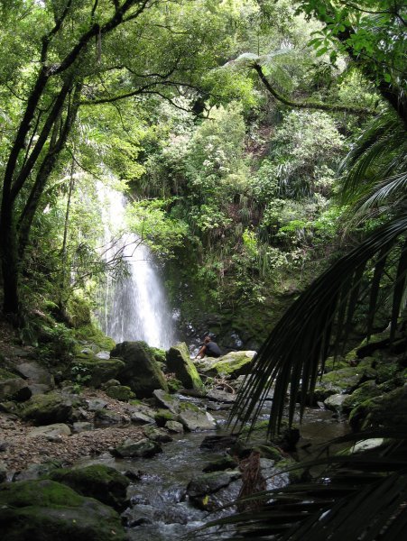 Waterfall in the bush