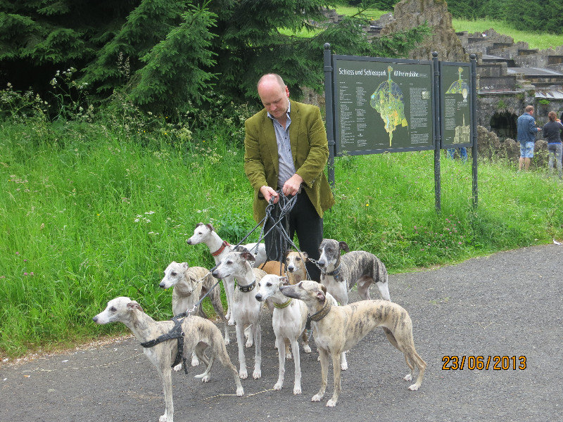 Man with greyhounds