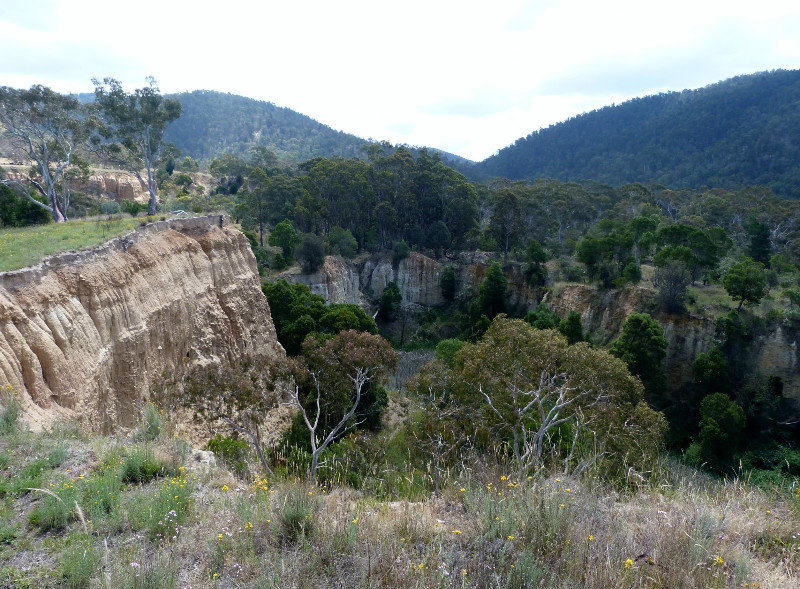 Gold mining in Omeo