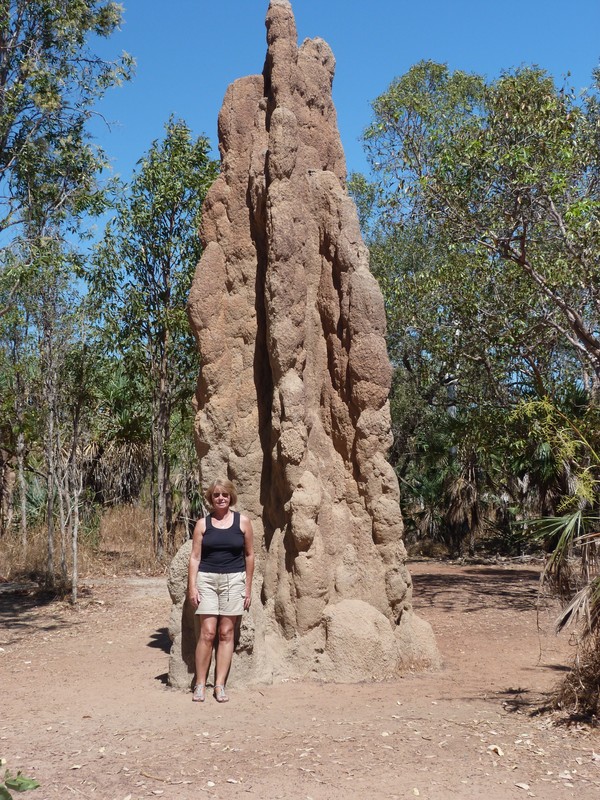 14 Magnetic Termite mounds