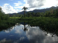 Peaceful Jungle Lake