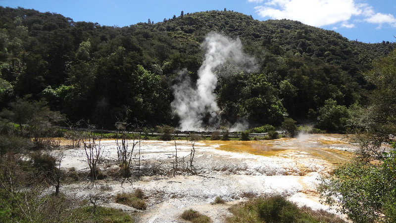 Steaming Springs