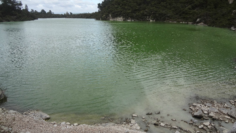 First Green Lake in Wai-O-Tapu