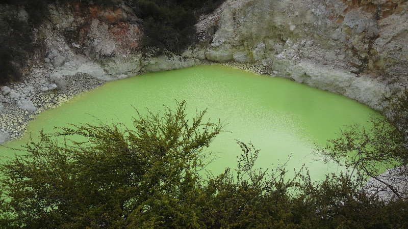 The Lime Green Lake