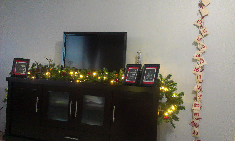 No christmas tree this year so the garland will have to do!