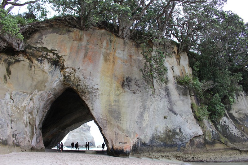 Cathedral Cove . North Island