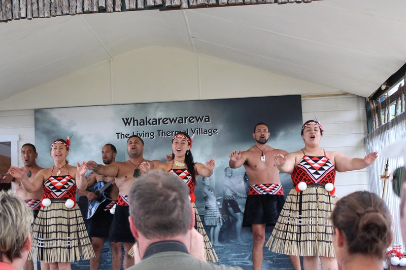 Maori Living Village