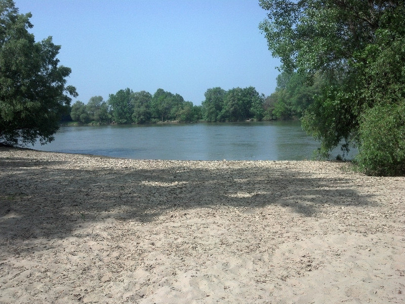That sandy river