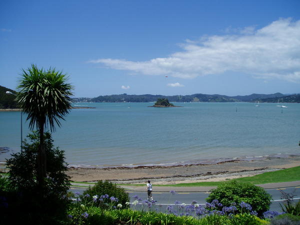 view from our motel at bay of islands
