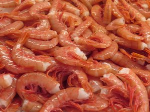 Shrimp at our local market
