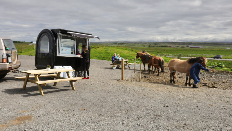 Coffee stop with free horse visit