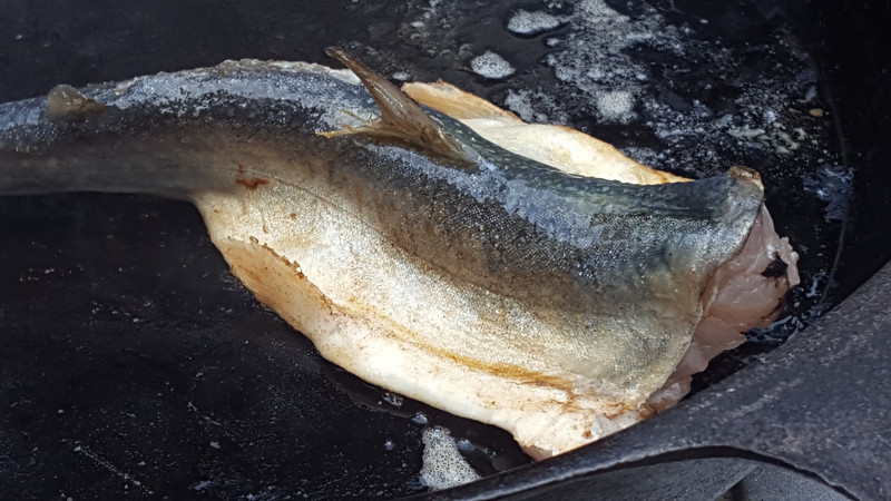 Pan fried, freshly caught, Bull Trout for lunch