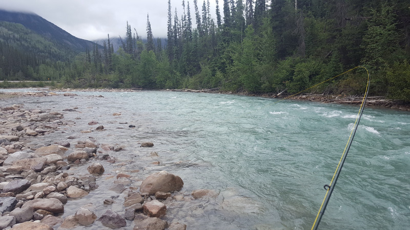 Fly fishing on Trout River near Liard Hot Springs